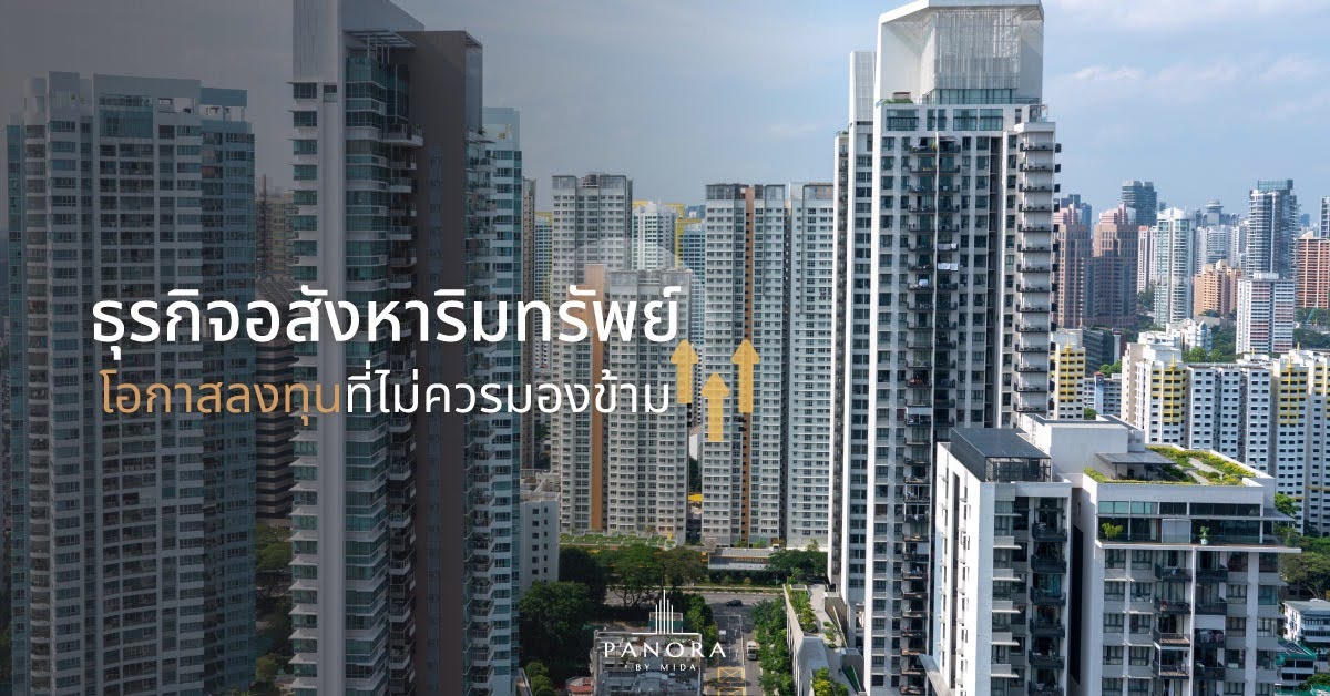 What is real estate business? What types are there? Investment opportunities not to be missed.