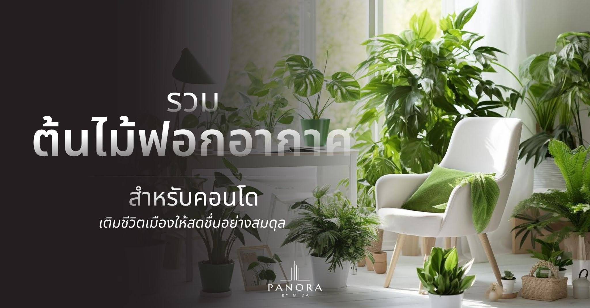 Best Air-Purifying Plants for Condos: Refreshing Urban Life with a Perfect Balance